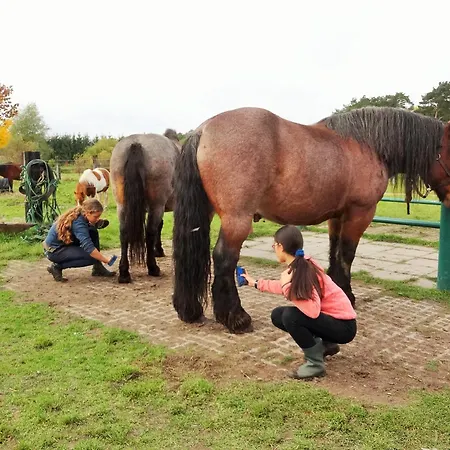 Ferienbauernhof - 5 Apartman *