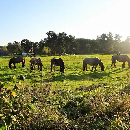 Apartman Ferienbauernhof - 5 Grünow