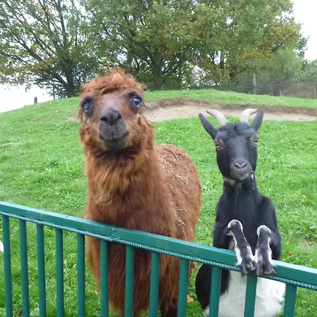 Apartman Ferienbauernhof - 5 *