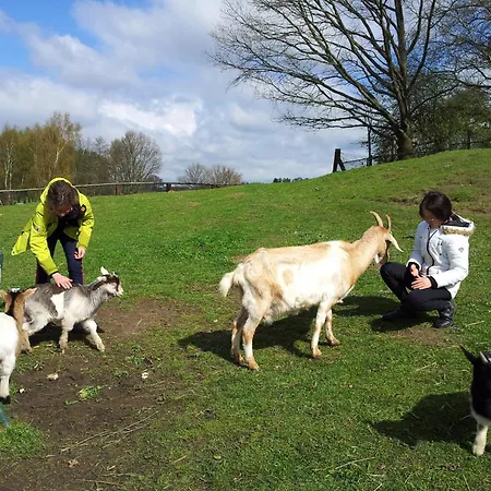 Ferienbauernhof - 5 *